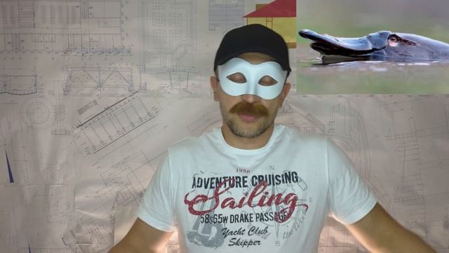 Утконос - Самое Удивительное Животное в Мире! | ALOVAK