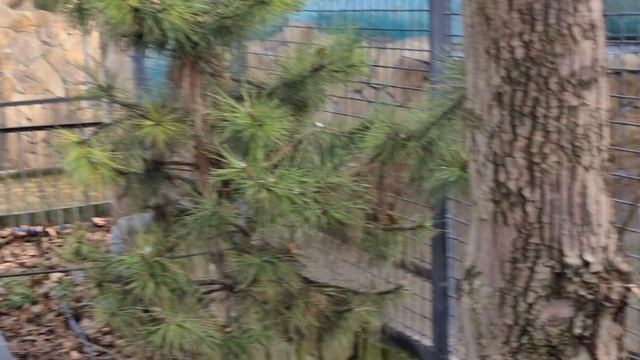 Джонни захотел чего-то покалорийнее) Тайган смотреть онлайн