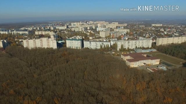 Ставрополь Таманский лес смотреть онлайн