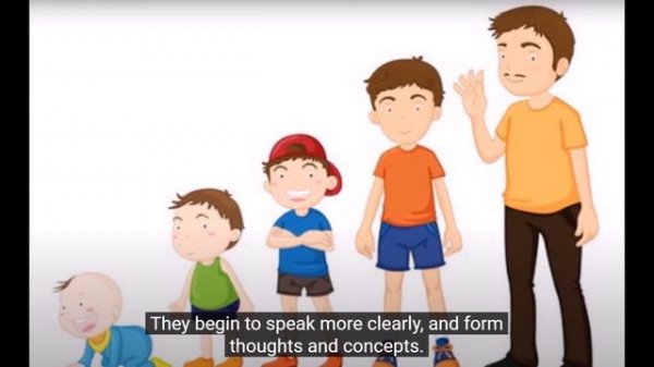 Этапы развития ребенка | Child Development Stages