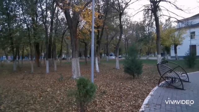 Хим посёлок - старый парк.