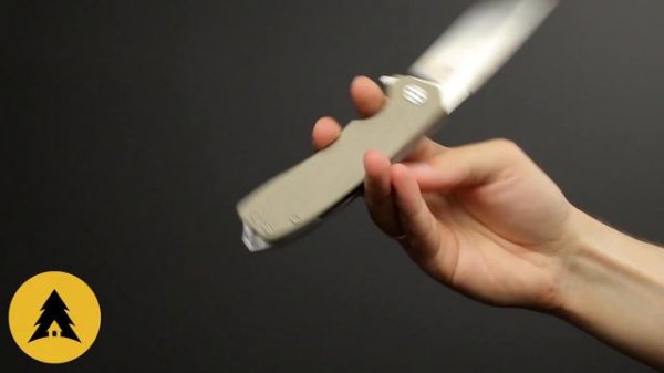 Складной нож Bestech Lion