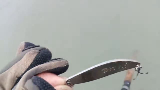 Лосось, кумжа. Отчёты смотреть онлайн