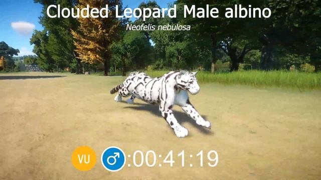 Albino Animals Race in Planet Zoo including Sun Bear Clouded Leopard and Okapi смотреть онлайн
