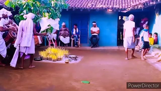 छत्तीसगढ़ के आदिवासी करमा गीत Chhattisgarh Aadivasi Karma git I am OTV смотреть онлайн