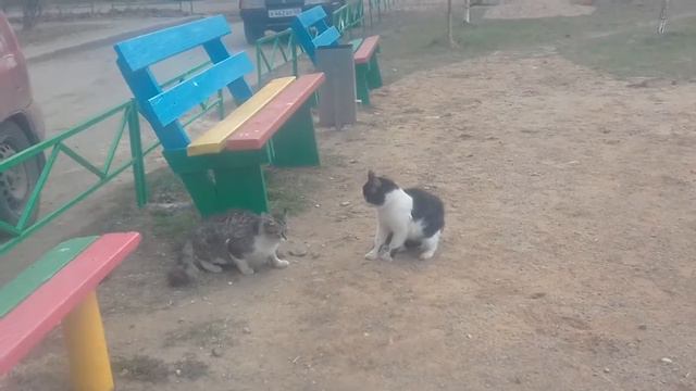 Не надо зимы, хочу весну!!! смотреть онлайн