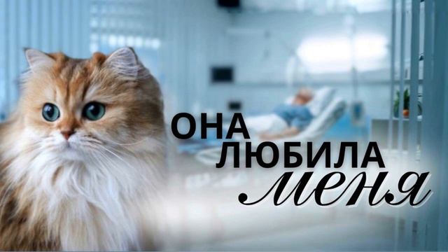 ТРОГАТЕЛЬНАЯ ИСТОРИЯ ЛЮБВИ "Она любила меня" смотреть онлайн