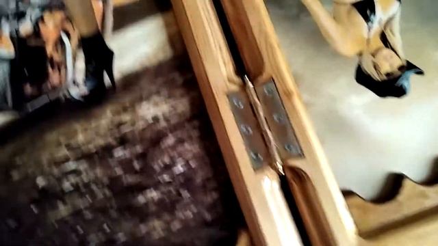 Нарды с фотоиллюстрацией смотреть онлайн