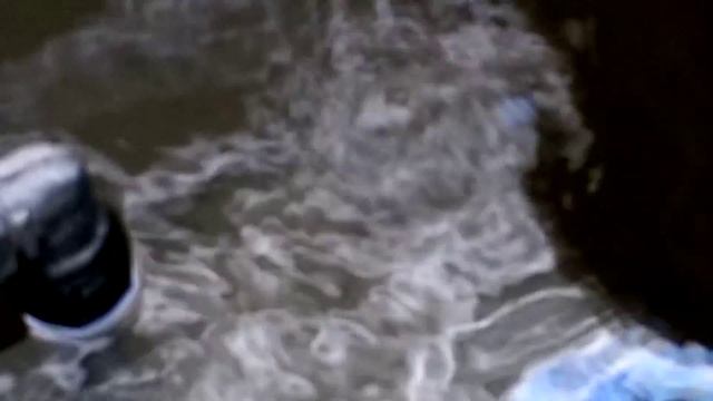 Карпы возле отеля Кози бич Таиланд смотреть онлайн