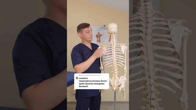 Почему болит лопатка? #обучениемассажу смотреть онлайн