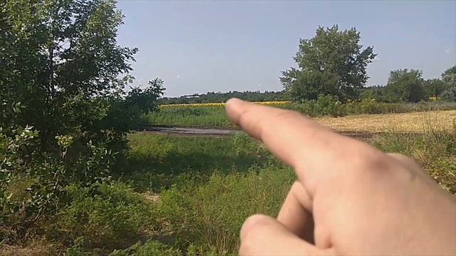 Цветет подсолнух - будет мед. 24.07.2021 смотреть онлайн