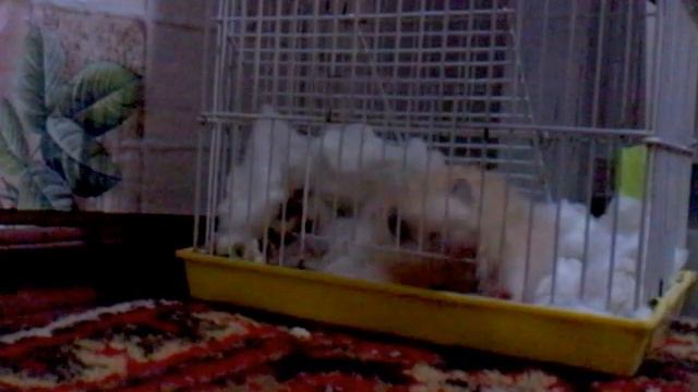 VID 20160507 225439 смотреть онлайн