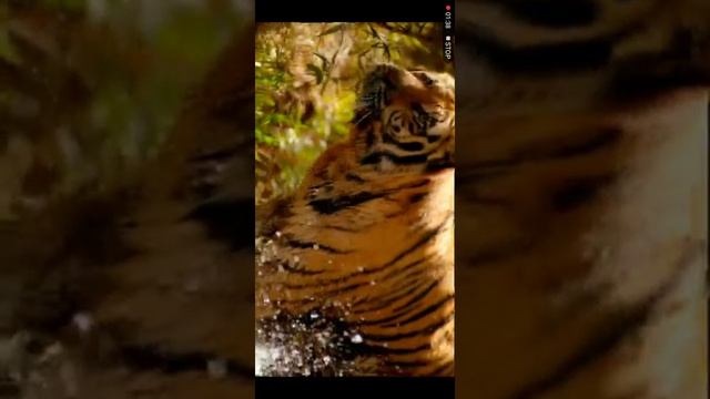 One year free iptv m3u смотреть онлайн