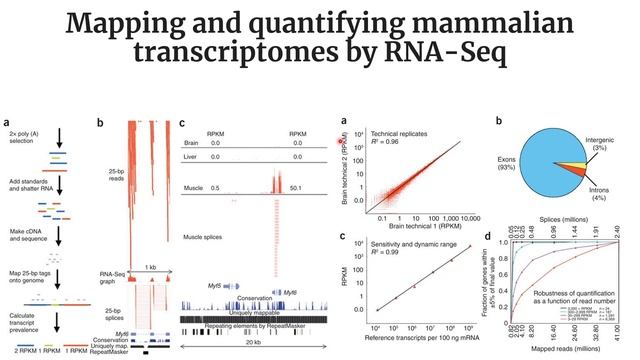Mapping and quantifying mammalian transcriptomes by RNA-Seq #Code: 345 смотреть онлайн