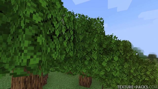 Better Leaves Texture Pack 1.20/1.20.2 Download & Install Tutorial