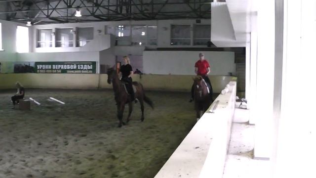 Буденовский жеребец Байкал смотреть онлайн