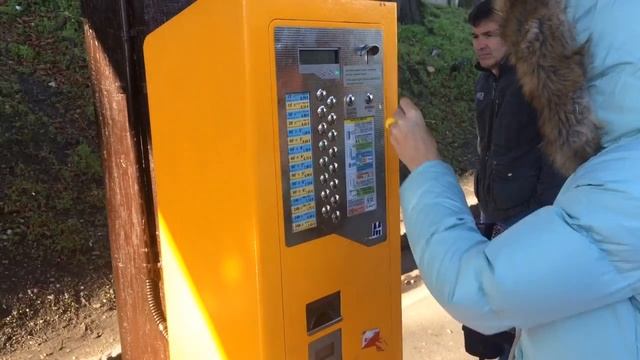 Структуры Снов