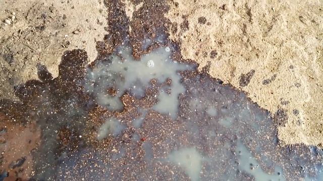 как не надо промывать мотор когда вода попала в картер смотреть онлайн