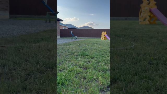 ул.Николаевская смотреть онлайн