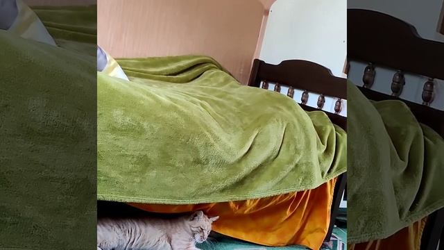Саларьево Парк дают место в детском саду. Я в Дубне с детьми. Завал. смотреть онлайн
