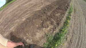 Самодельный минитрактор. Посадка картофеля!