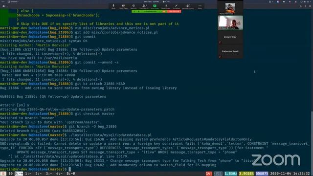 Testing and fixing bugs in Koha - a demonstration and discussion смотреть онлайн
