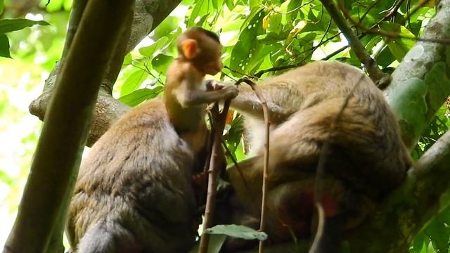 WHY JANNA ACT LIKE THIS - HOW MOM REACT WITH JANNA смотреть онлайн