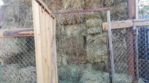 ?Козлятник из бытовки на пять коз?