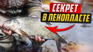 Бешеный клев огромных лещей и сазана на пенопласт и кукурузу.