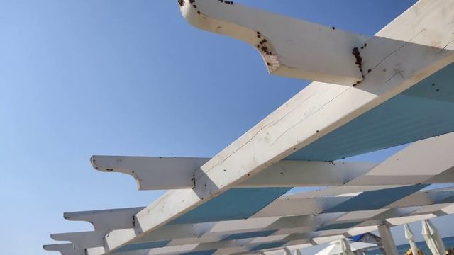 Анапа (Витязево) 10 июля 2021. Нашествие божьих коровок. смотреть онлайн