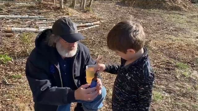 Grandson Kai & the BeeMushroomed Feeder on #worldbeeday смотреть онлайн