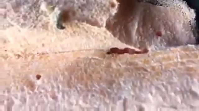 Муравьи в утеплителе смотреть онлайн