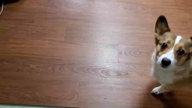 Why I have to disassemble part of just installed laminate floor смотреть онлайн
