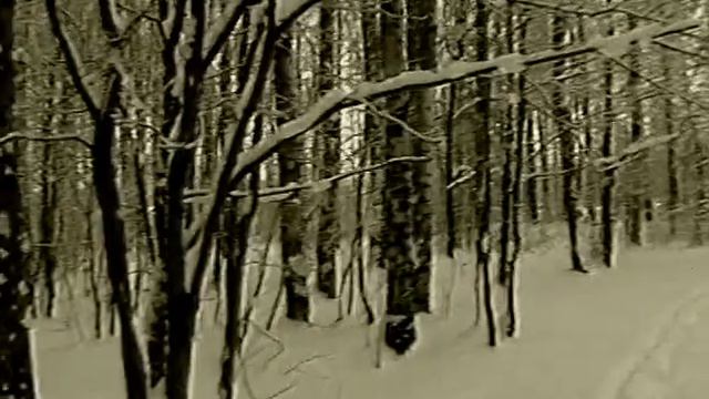 Зима в Сосновке (В лунном сиянье) смотреть онлайн