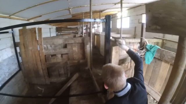 Новые клетки для содержания свиней/Клетка для бройлеров переехала