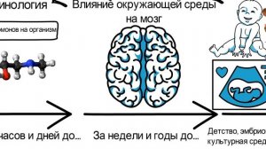 Как наука объясняет наши поступки? // "Биология добра и зла" Роберта Сапольски