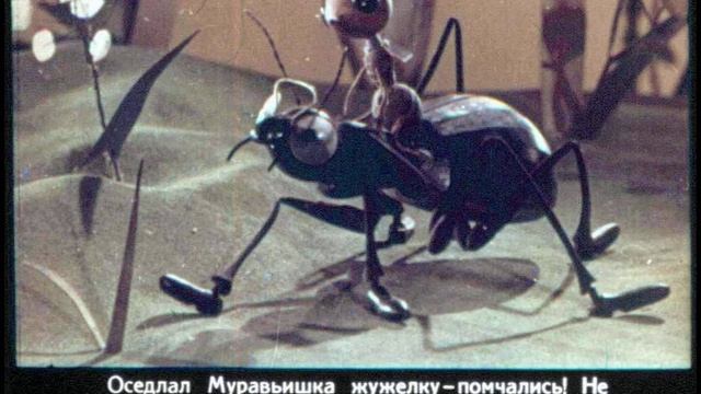 Как муравьишка домой спешил 1024x768 смотреть онлайн