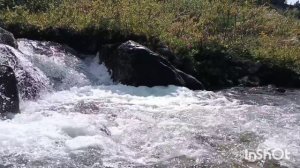 Путешествие по Алтаю 2024.mp4