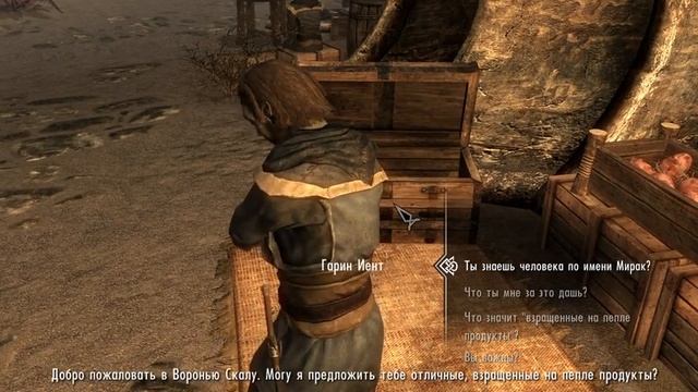 Играем в Skyrim: миссия 55 Обмануть стадо смотреть онлайн