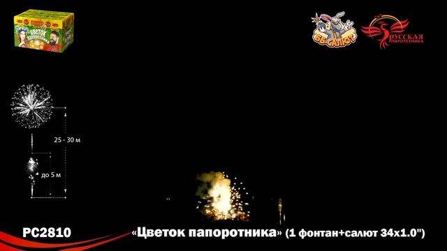 Фейерверк + фонтан РС2810 Цветок папоротника (1" х 34) смотреть онлайн