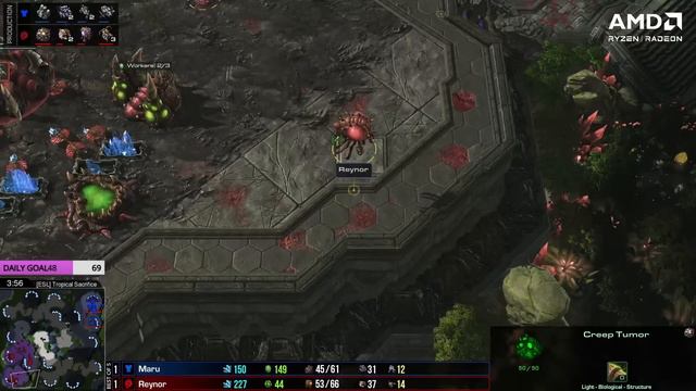 MARU vs REYNOR: EPIC 2 HR CLASH OF THE TITANS! | DreamHack Valencia Ro16 (Bo5 TvZ) смотреть онлайн