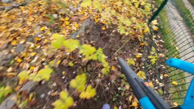 ВЛОГ: День Листьев смотреть онлайн