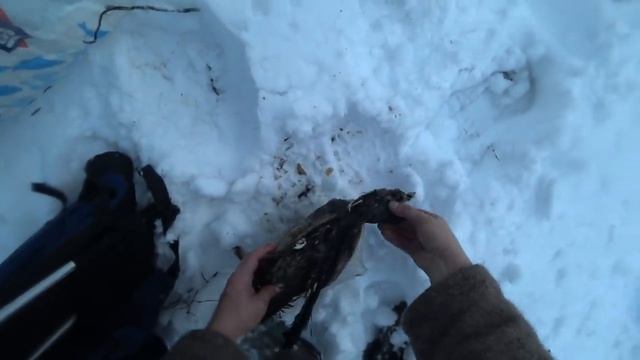 ДВА ДНЯ В ТАЙГЕ / ОХОТА НА КУНИЦУ КАПКАНАМИ / ОДИН В ТАЙГЕ / РЫБАЛКА / ЖЕРЛИЦЫ / НАЛИМЫ / ИЗБА смотреть онлайн