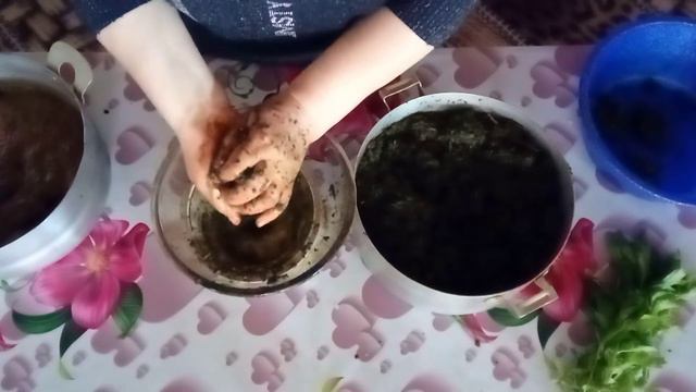 #Mürəbbə# nanədən# Nanə. mürəbbəsi. Варенья из мята. смотреть онлайн