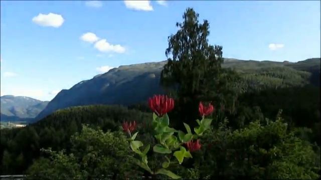 Trip around Telemark, Norway смотреть онлайн