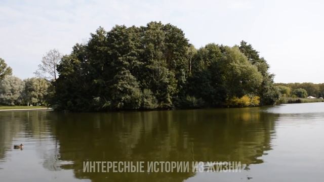 СПУСТИЛА ЮБКУ И ПРИЯТНО УДИВИЛА. Жизненные истории и аудио рассказы. Измена жены смотреть онлайн