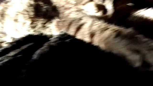 5 декабря 2022 г. смотреть онлайн