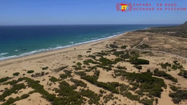 Playa Los Arenale del Sol Vistas Aérea смотреть онлайн