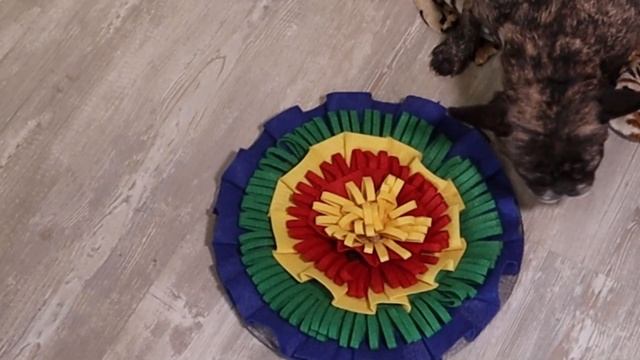 Развивающая игрушка НЮХАТЕЛЬНЫЙ коврик. Чем занять собаку дома