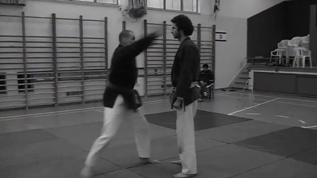 Hissaku no kata - Koto ryu Ninjutsu for AKBAN wiki смотреть онлайн